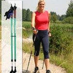 Chung Shi Shoes with Walking Poles