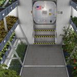 NASA Grows Fruit