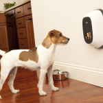 1. PetChatz HDX Pet Camera (1)