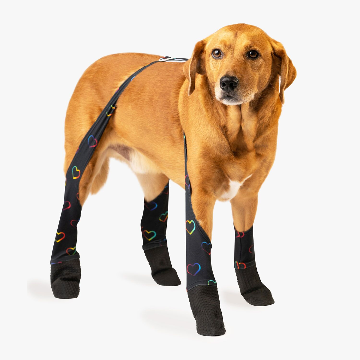 Best Deal for Walkee Paws Adjustable Fit Dog Leggings, As Seen on Shark |  Algopix