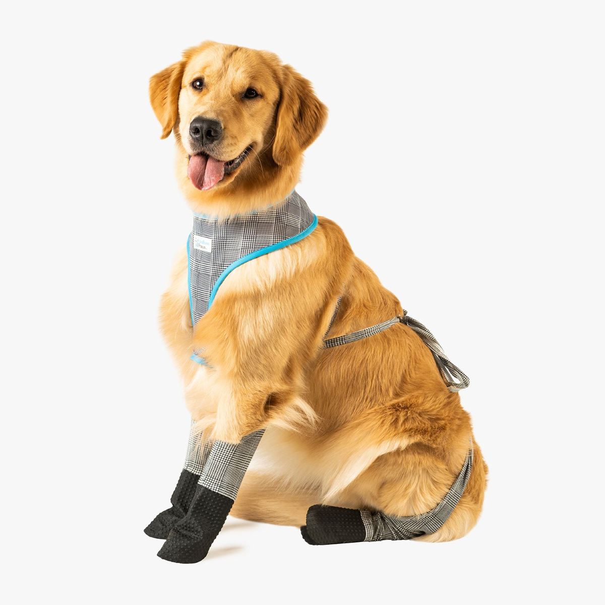 Walkee Paws Waterproof Dog Leggings, Walkee Paws Leggings Review