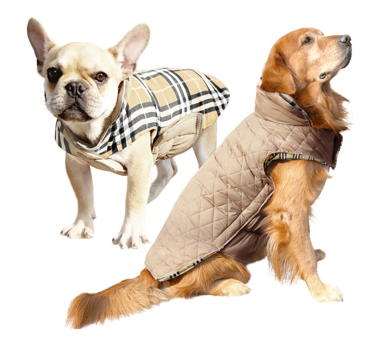 kuoser dog coats