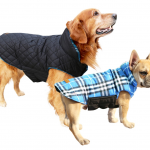 1. Kuoser Reversible Winter Dog Vest (5)