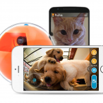 1. Playdate Ball-Camera Pet Toy (11)