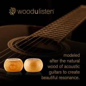 Woodulisten TWS Speakers - Modelled After a Guitar