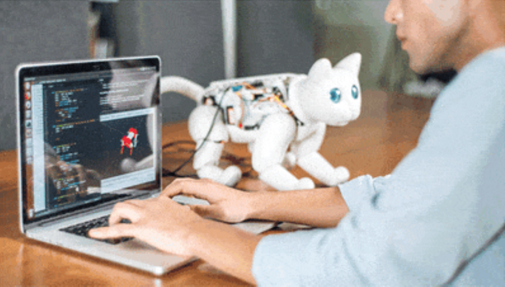 MarsCat Robot Cat, Elephant Robotics MarsCat Robot Pet Cat Review