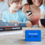 2. Firewalla Blue Firewall Appliance (1)