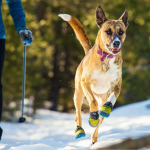 2. Ruffwear Polar Trex Dog Boots (1)