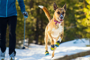 Ruffwear Polar Trex Dog Boots