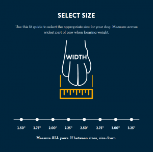 Polar Trex - Size Chart