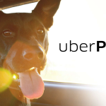 2. Uber Pet Vehicle Option (3)