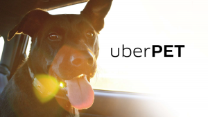 Uber Pet Vehicle Option