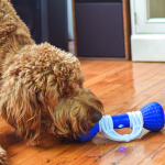 1. GoBone Interactive Dog Toy (1)