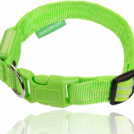 1. Illumiseen LED Dog Collar (3)