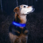 1. Illumiseen LED Dog Collar (5)