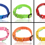 1. Illumiseen LED Dog Collar (6)