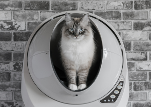 Litter-Robot 3 Connect