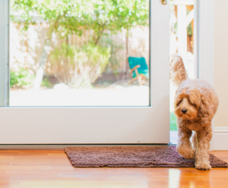 Wayzn Automatic Sliding Pet Door Opener, DIY Smart Pet Door Review