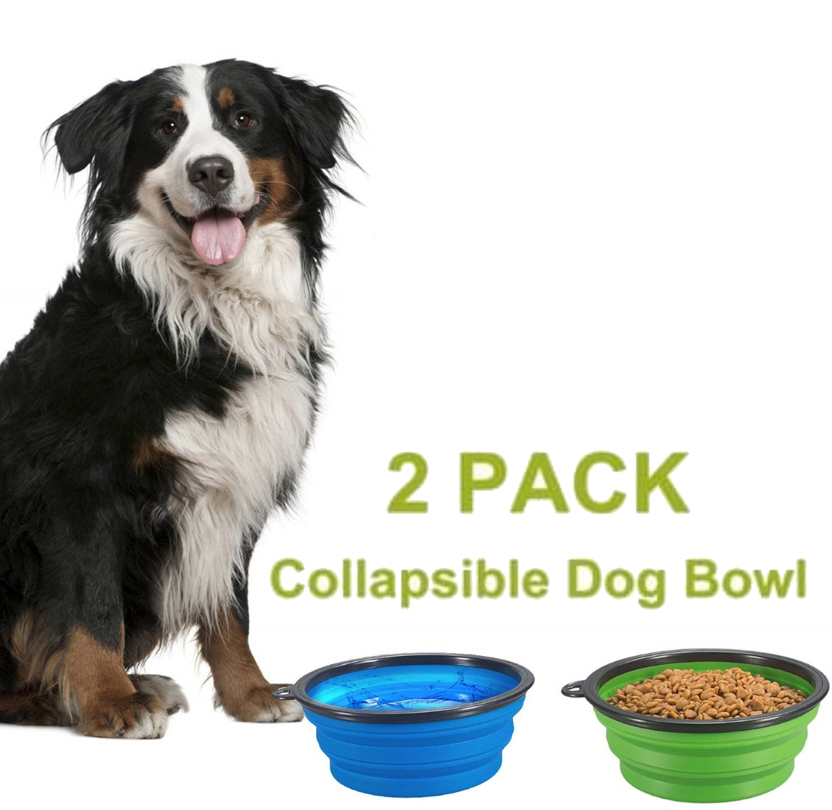 flat dog bowl