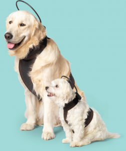 Calmer Canine - 5 Different Dog Vest Size-Models