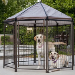 1. Advantek Pet Gazebo (1)