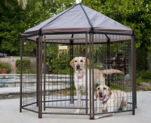 Advantek Pet Gazebo