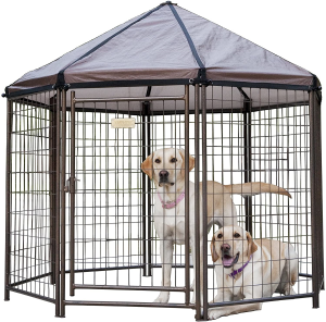 Advantek Pet Gazebo