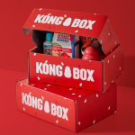 2. KONG BOX (1)