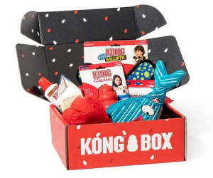 KONG BOX