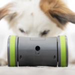 3. PetSafe Kibble Chase (1)