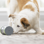 3. PetSafe Kibble Chase (10)