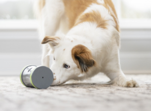 PetSafe Kibble Chase