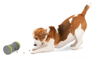 3. PetSafe Kibble Chase (8)