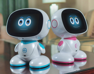 Misa Social Robot