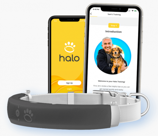 Halo Collar - All-in-One Smart Dog Collar & Boundary System