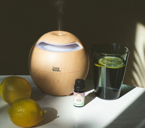 Guru Nanda Light Globe Essential Oil Diffuser