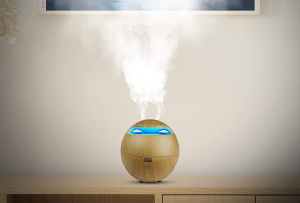 4. Guru Nanda Light Globe Essential Oil Diffuser (4)