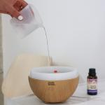 4. Guru Nanda Light Globe Essential Oil Diffuser (5)