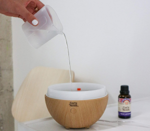 4. Guru Nanda Light Globe Essential Oil Diffuser (5)