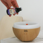 4. Guru Nanda Light Globe Essential Oil Diffuser (6)