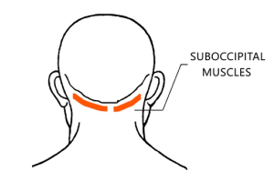 3. AtlasBIOvib Neck Massager (9)