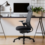 1. Nexvoo Health Adjustable Desk Chair (1)