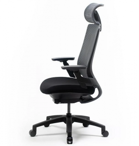 Nexvoo Health Adjustable Desk Chair