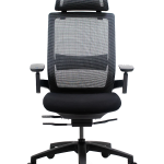 1. Nexvoo Health Adjustable Desk Chair (3)