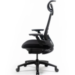 1. Nexvoo Health Adjustable Desk Chair (5)