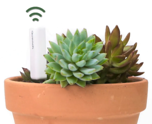 3. Quench Smart Plant-Watering Sensor System (6)