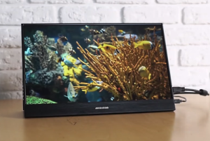 Portable 4K Monitor with True LED Backlighting