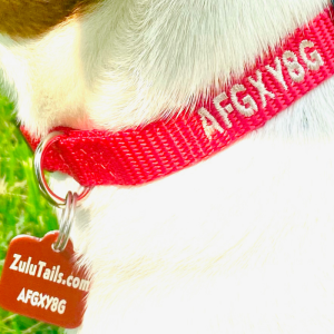 ZuluTails Smart Universal Pet Identifier Tag