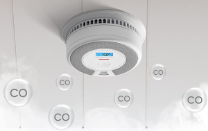 Smoke and Carbon Monoxide Detector