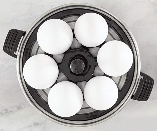 Dash Rapid Egg Cooker Electric, Black - 6 Capacity